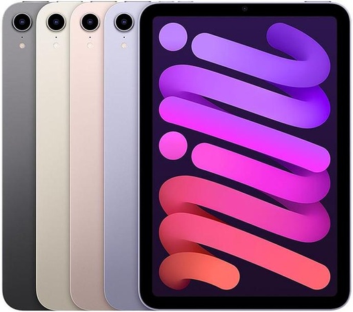 Apple iPad mini (2021) Screen Replacement Price in Kenya   